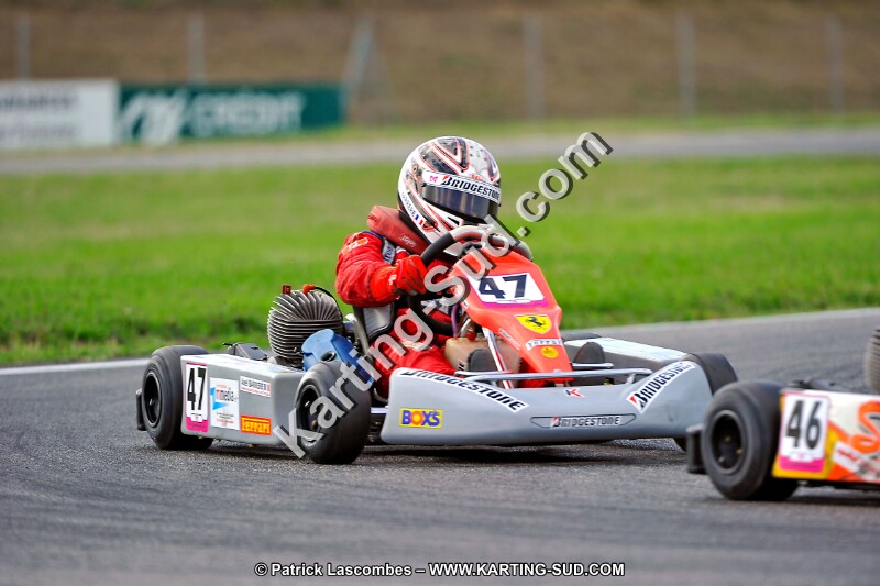 DSC_ (885).jpg